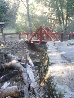 Bridge to Nature Trail and Natural Preserve
